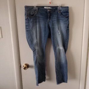 Torrid Boyfriend Distressed Jeans